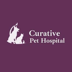 Clinic Logo